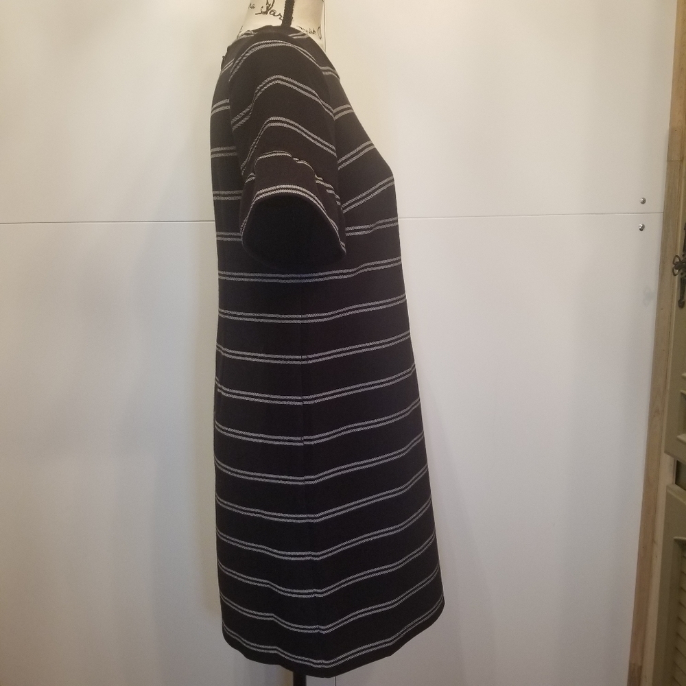 Ann Taylor LOFT Flutter Sleeve Striped Shift Dress - Picture 4 of 9